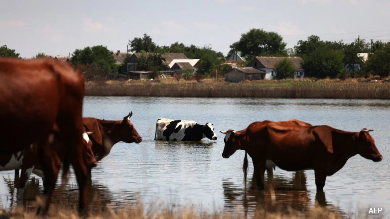 Ukraine Alleges Russia Hides Dangerous Bioweapons in Kherson Region