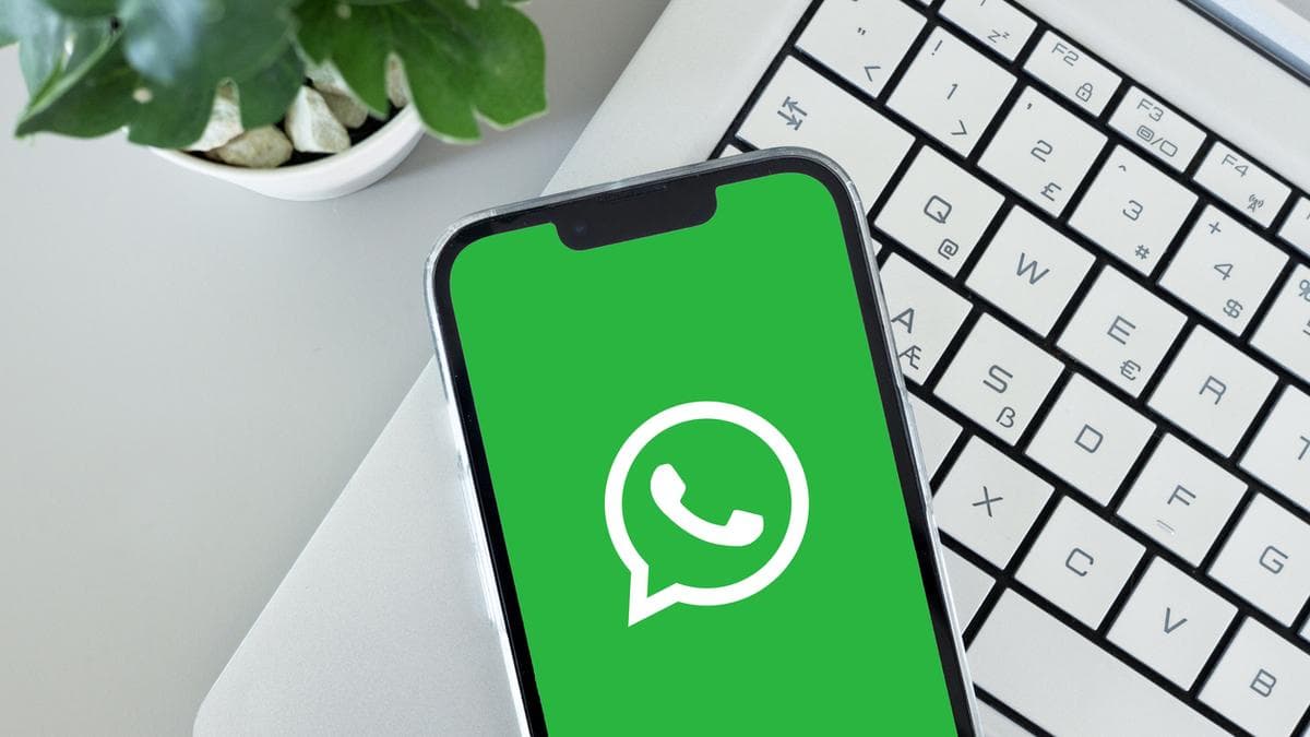 WhatsApp's Username Feature Delayed: Government Demands Accountability