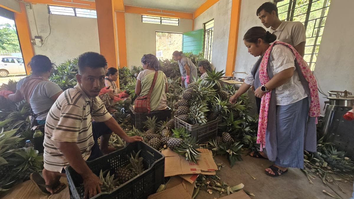 Meghalaya's Farmers Rise from Roadsides to Global Exports: A Model of Success